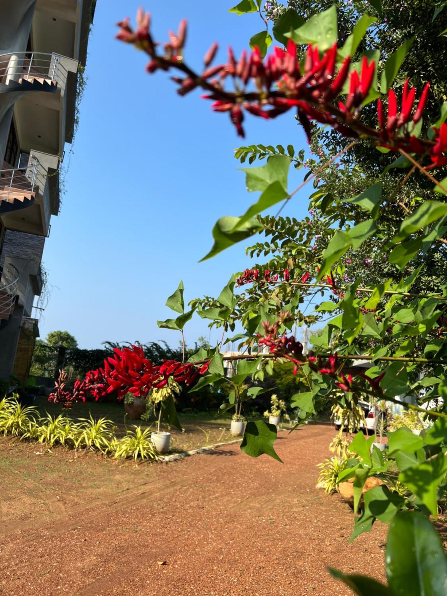 Kapaliya Unawatuna Exterior foto
