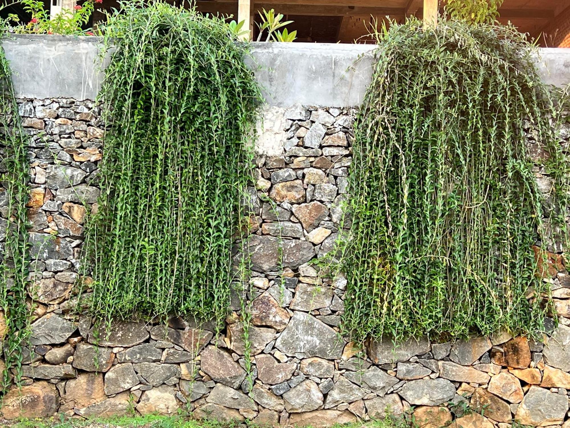 Kapaliya Unawatuna Exterior foto