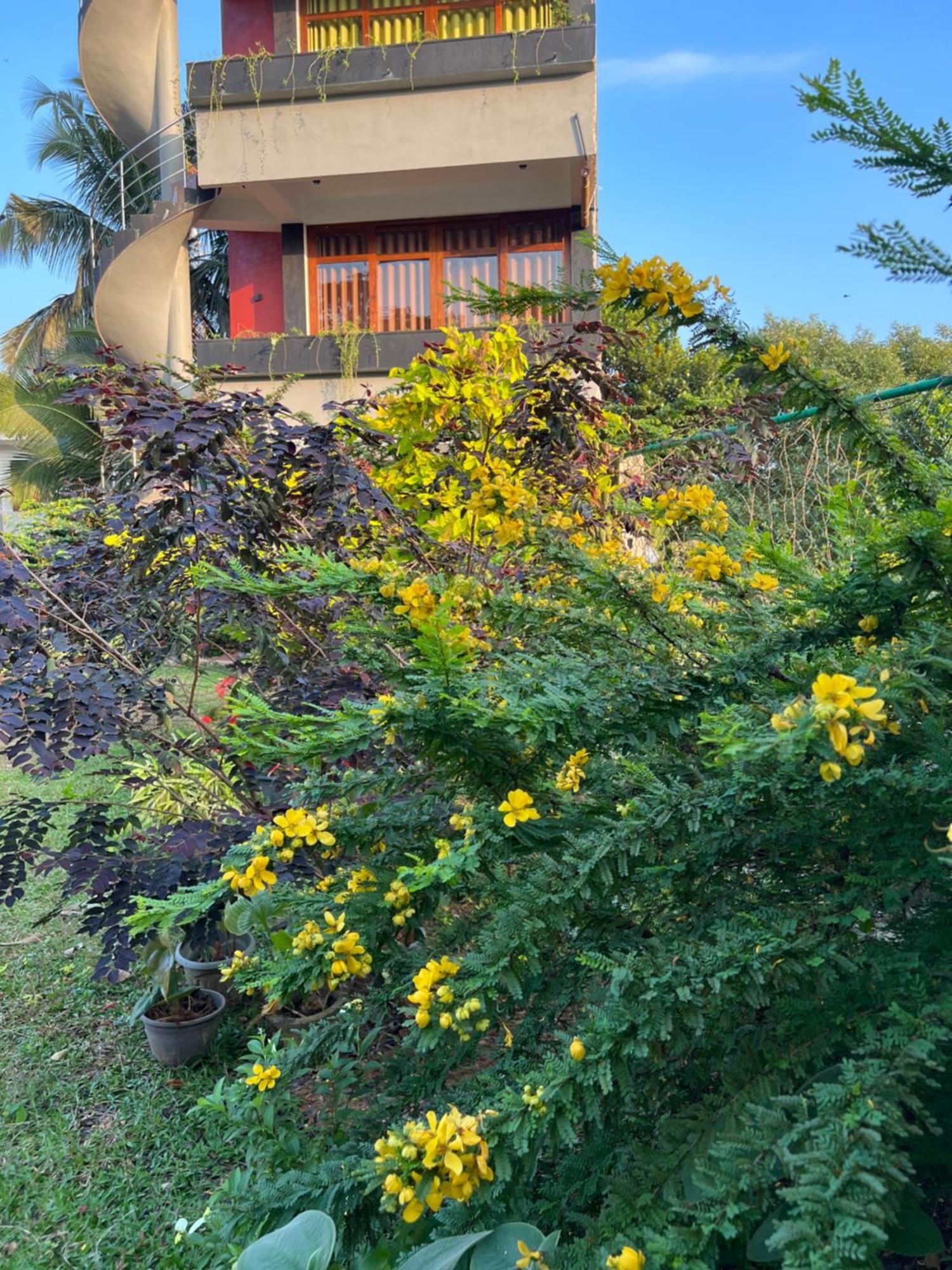 Kapaliya Unawatuna Exterior foto